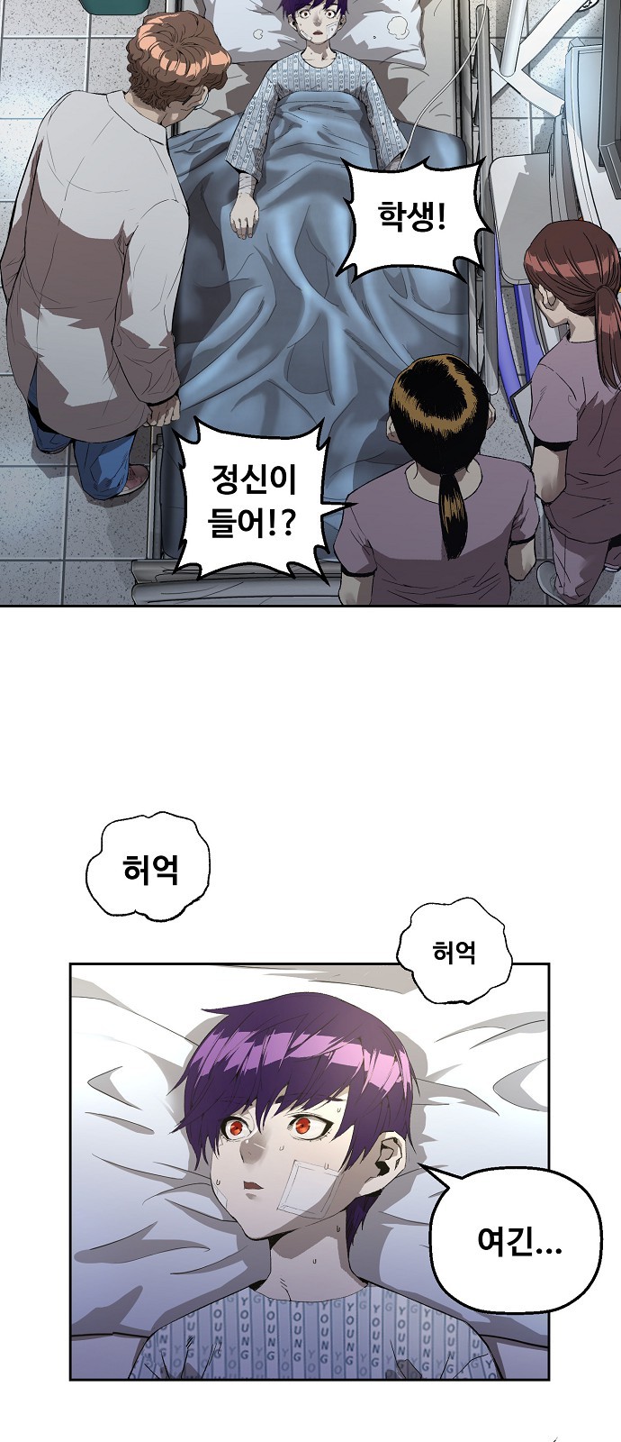 33 페이지