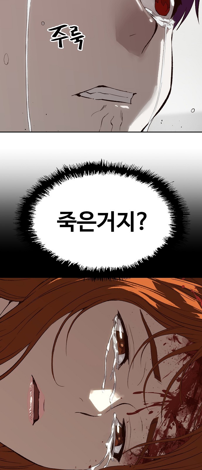 68 페이지