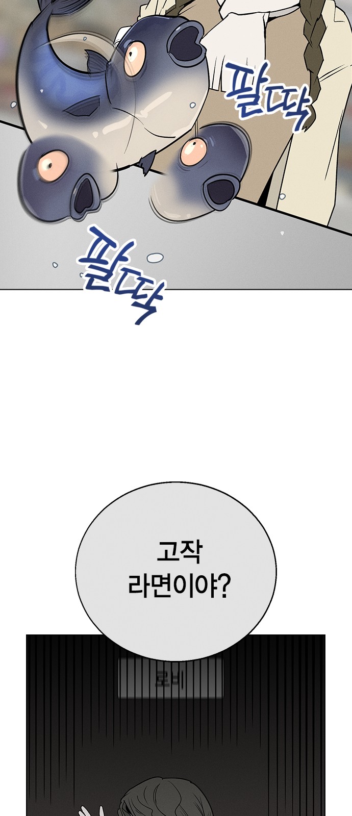 113 페이지