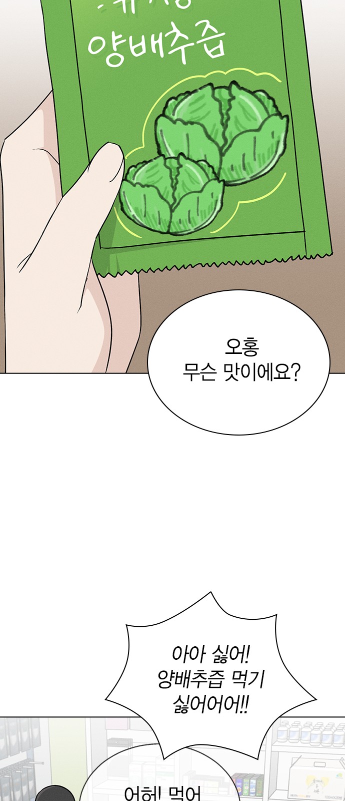 30 페이지