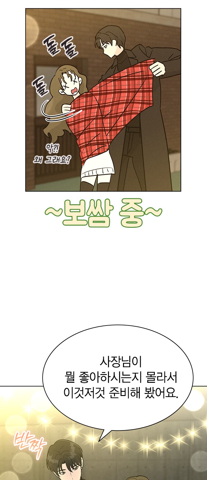 12 페이지