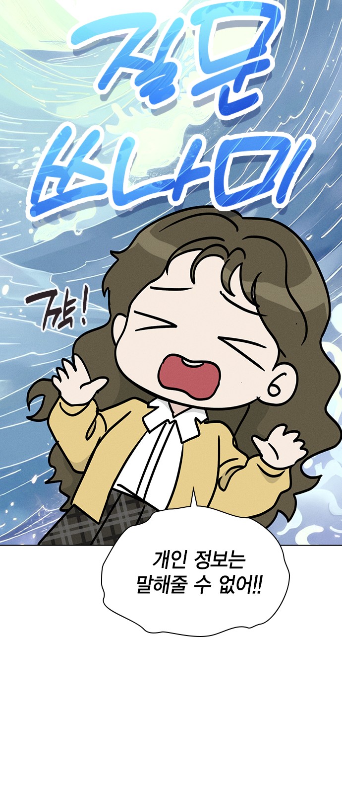 29 페이지