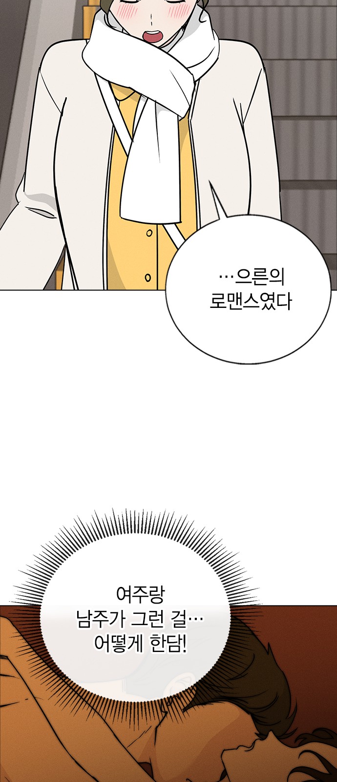 52 페이지