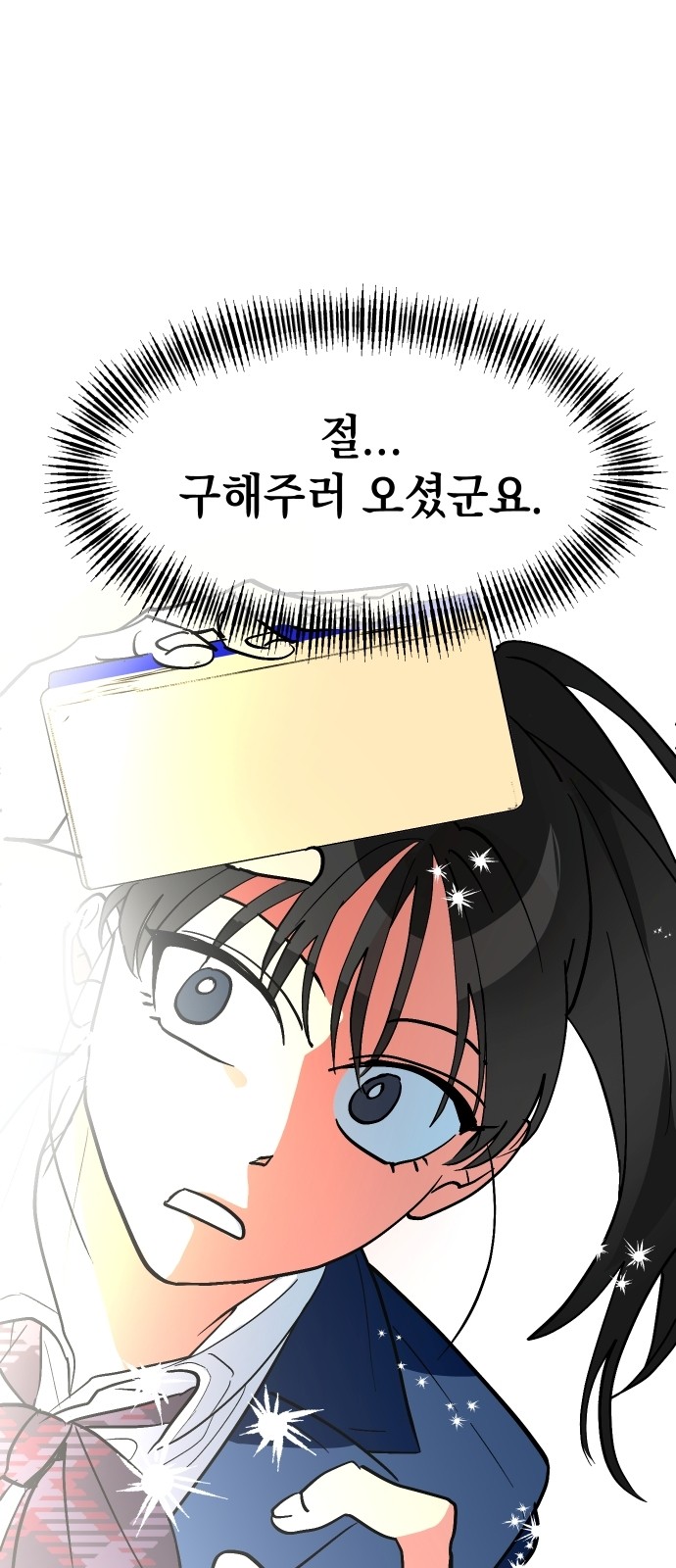 46 페이지