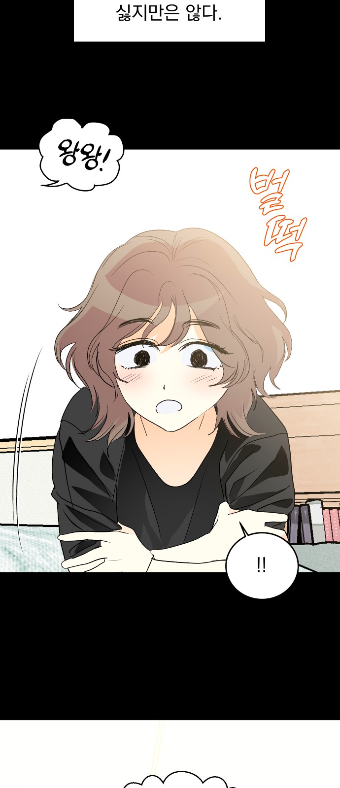 63 페이지