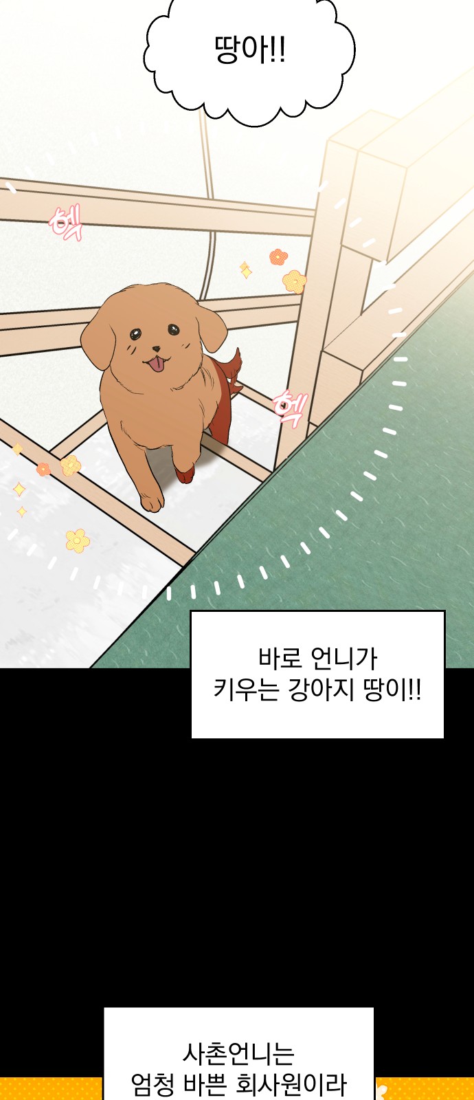64 페이지