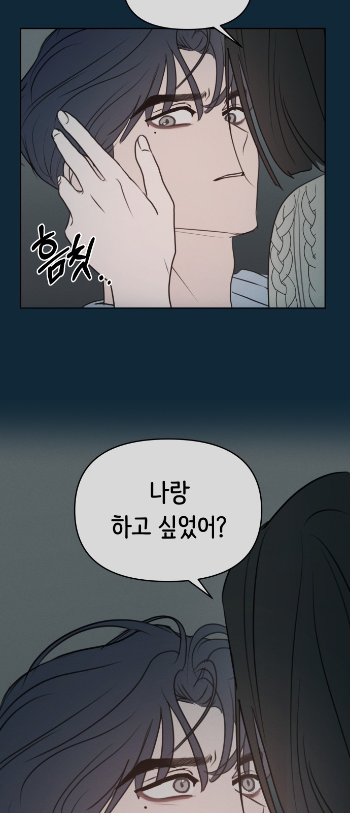66 페이지