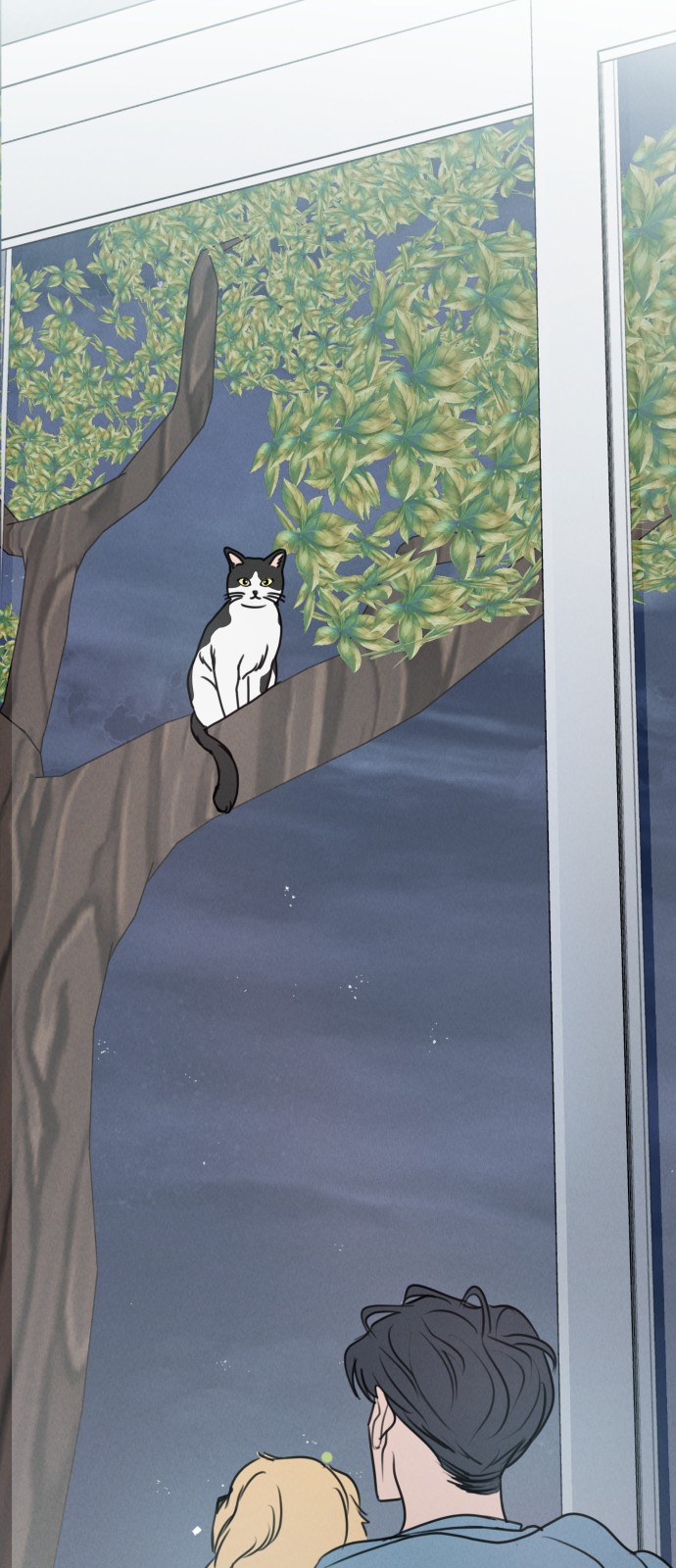55 페이지