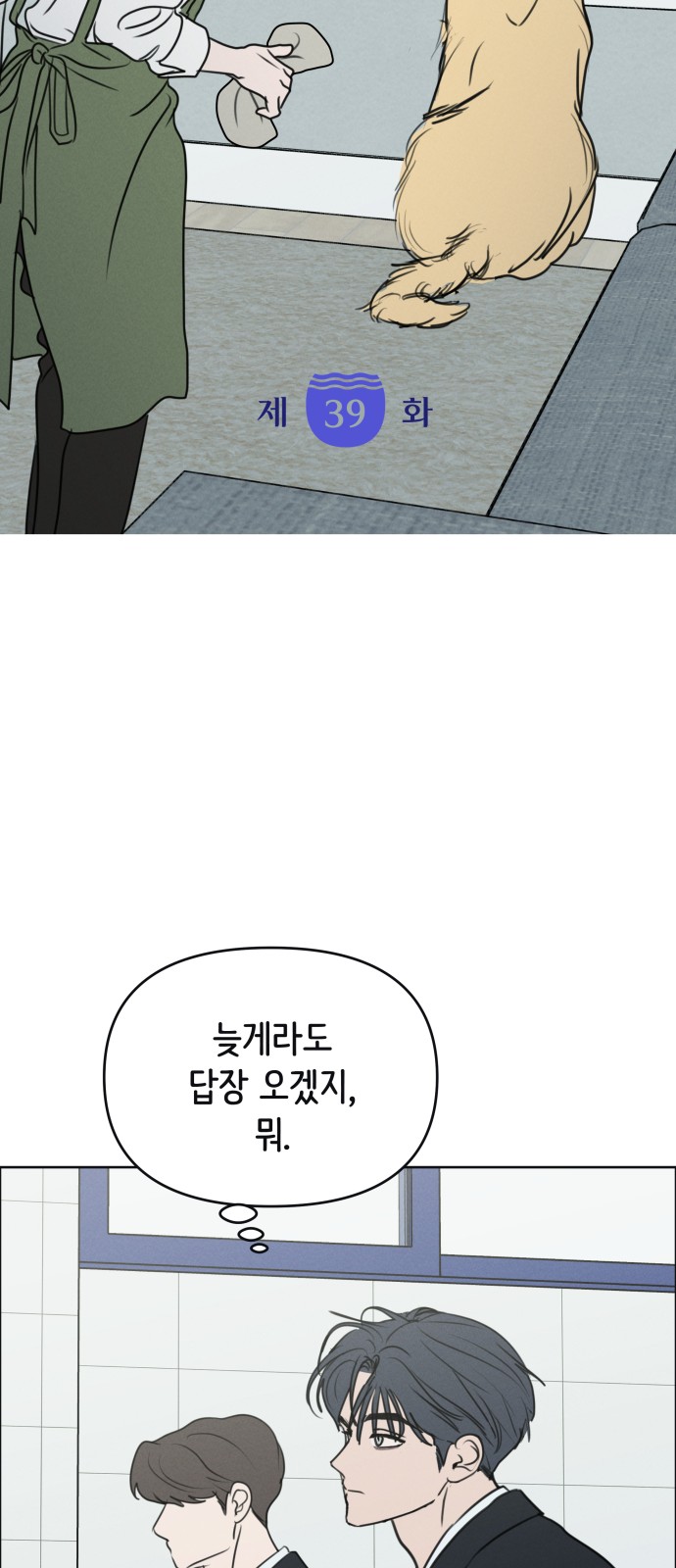 5 페이지