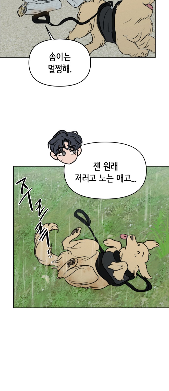 55 페이지