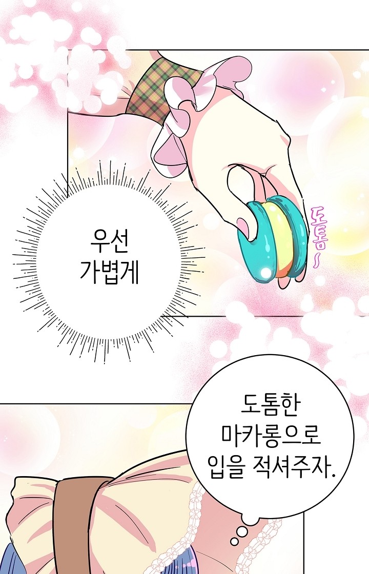 21 페이지