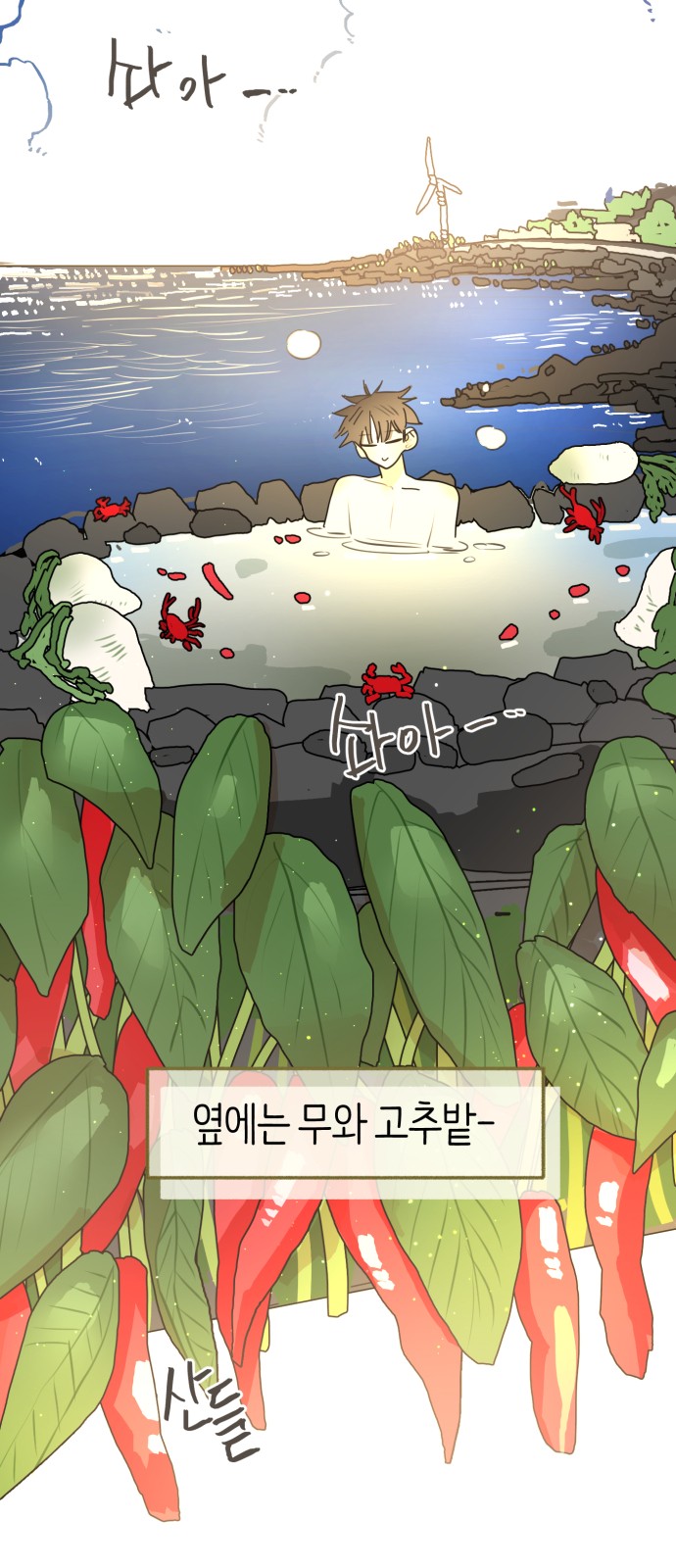 31 페이지