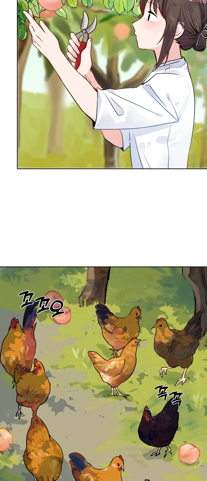15 페이지