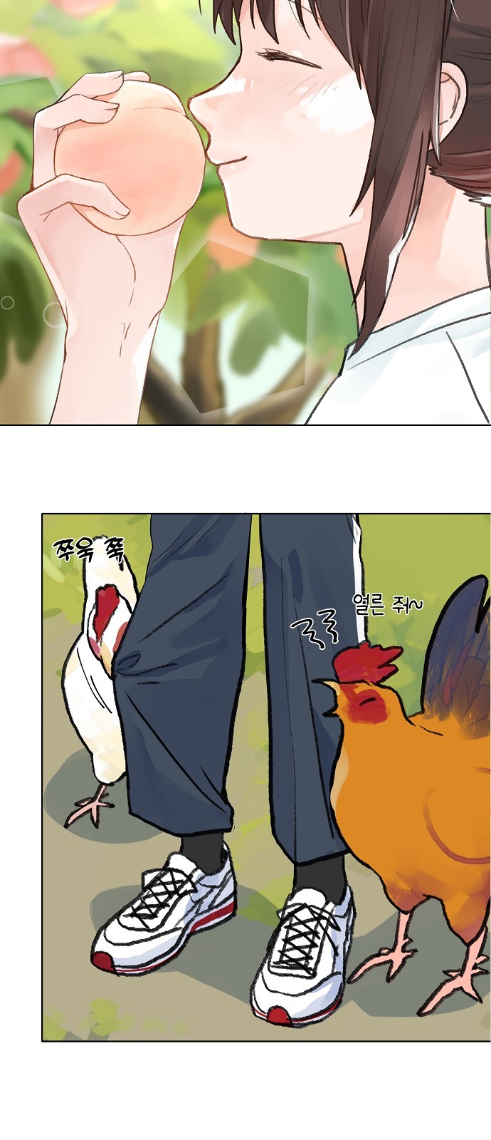 17 페이지