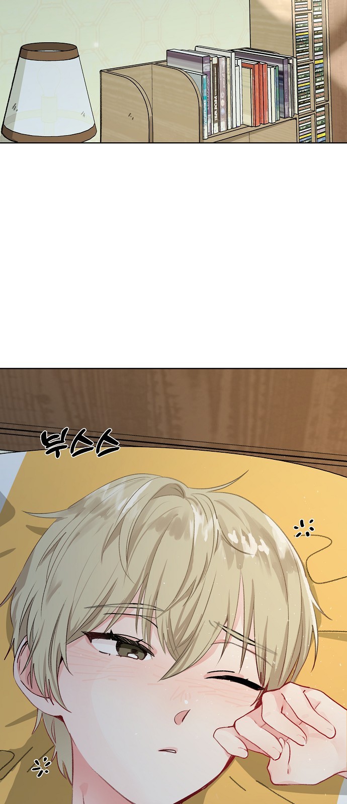48 페이지