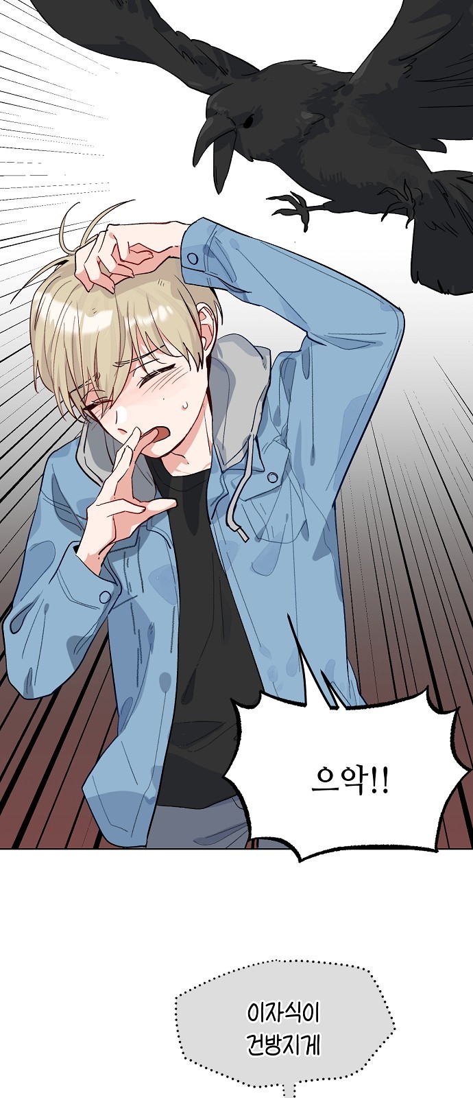 14 페이지