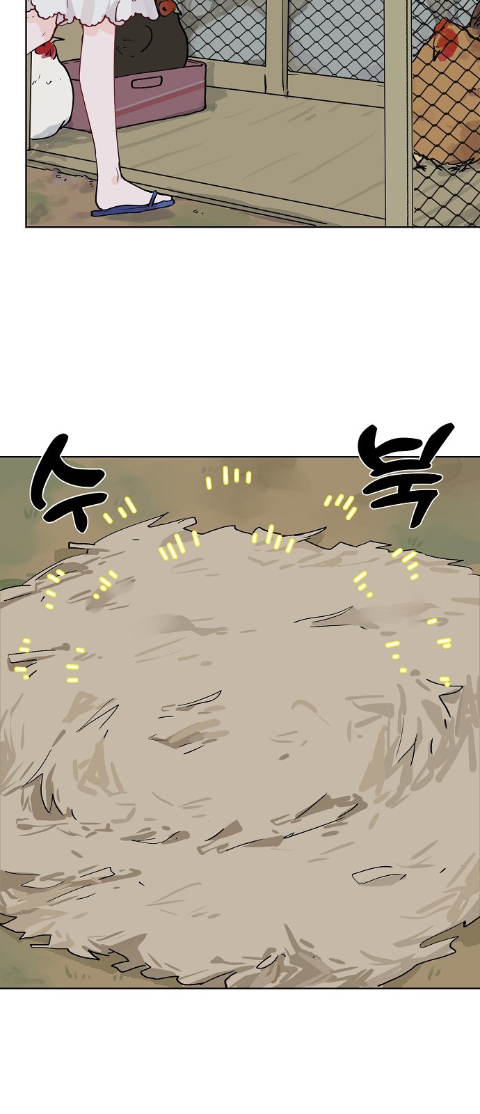 14 페이지