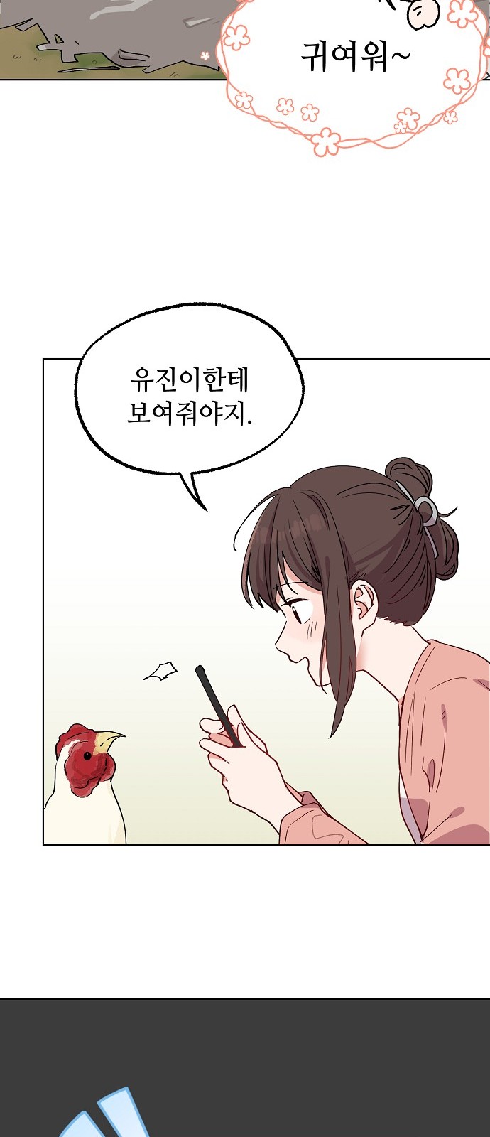 16 페이지