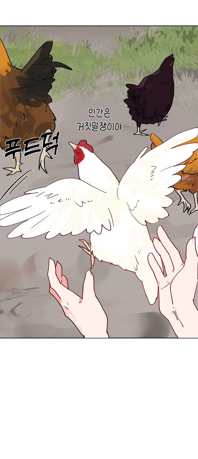 25 페이지