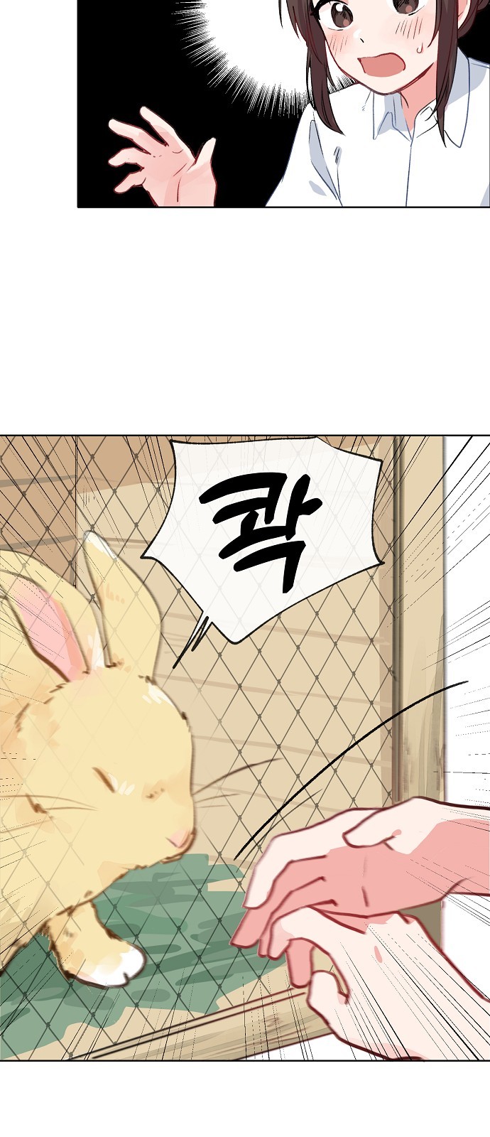 43 페이지
