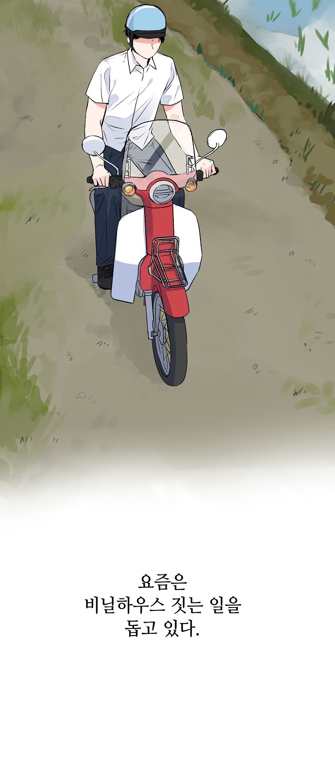 33 페이지