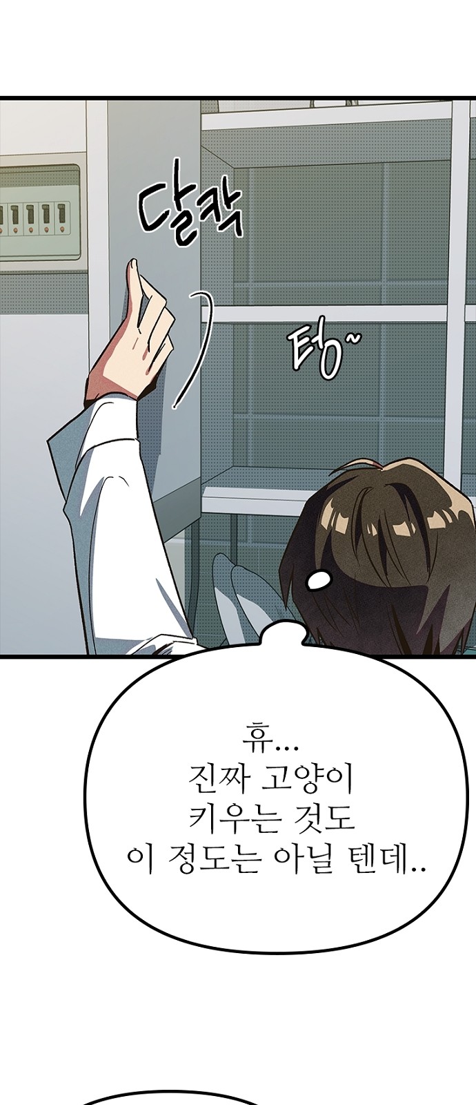 34 페이지