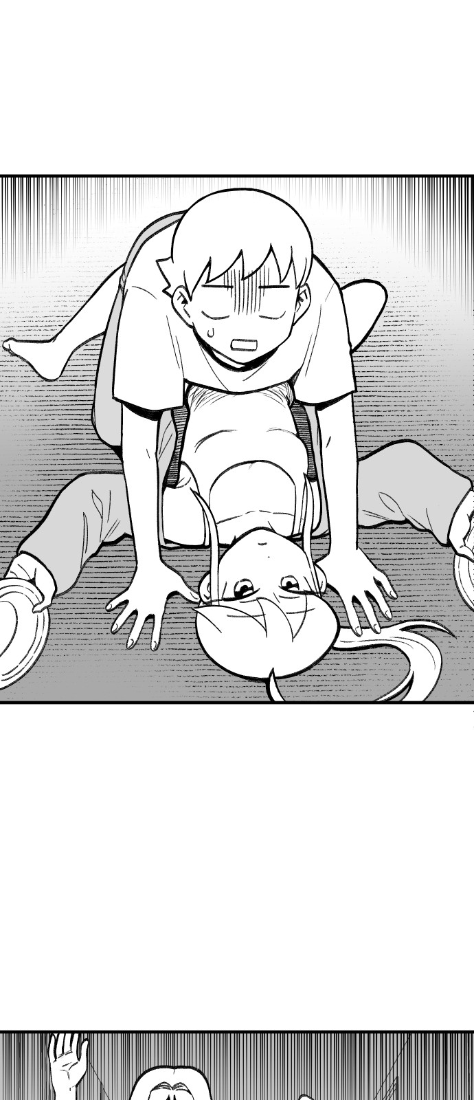 51 페이지