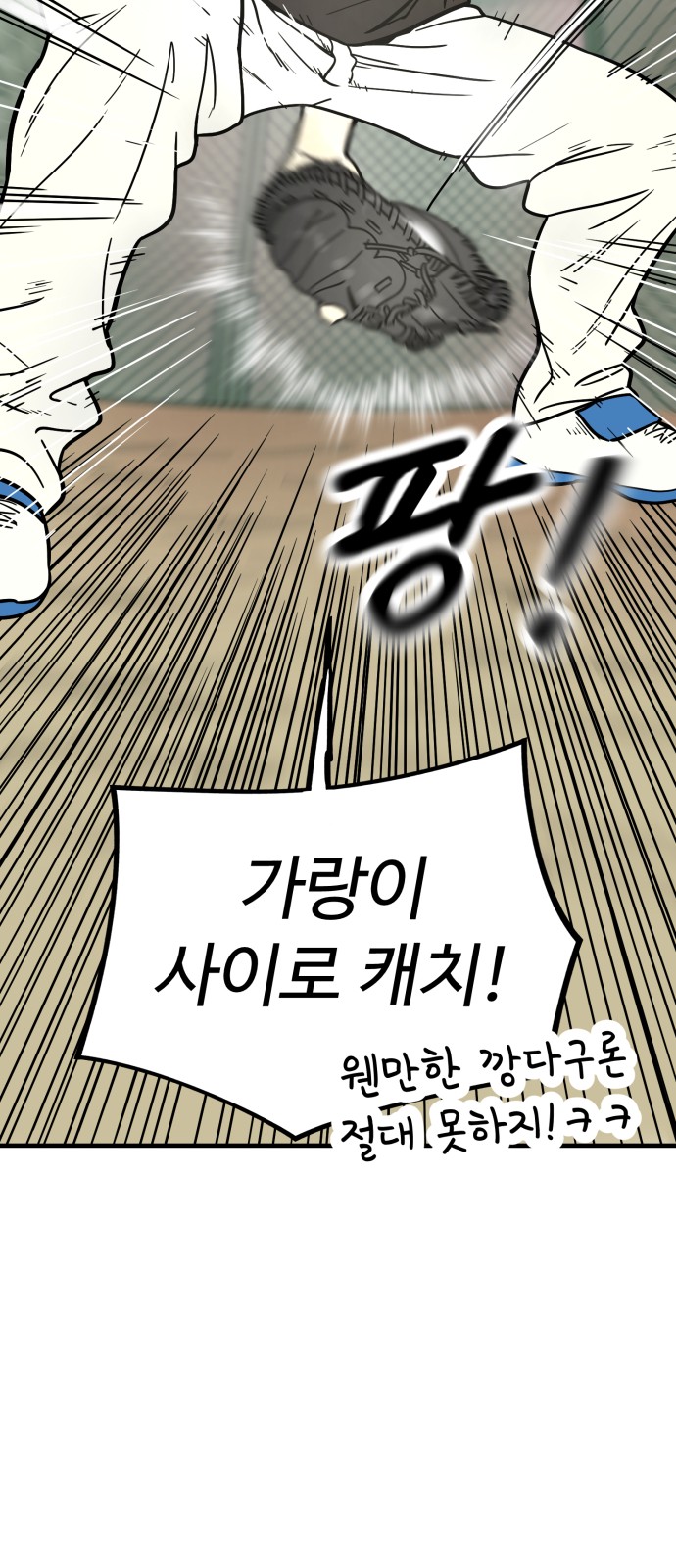 66 페이지