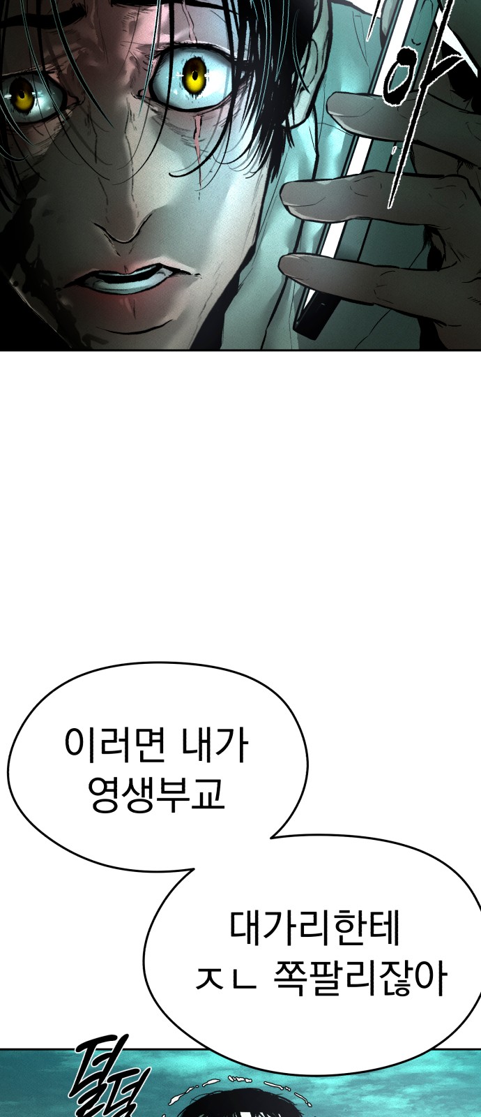 110 페이지