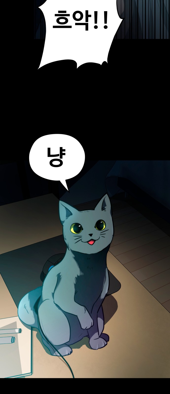 41 페이지
