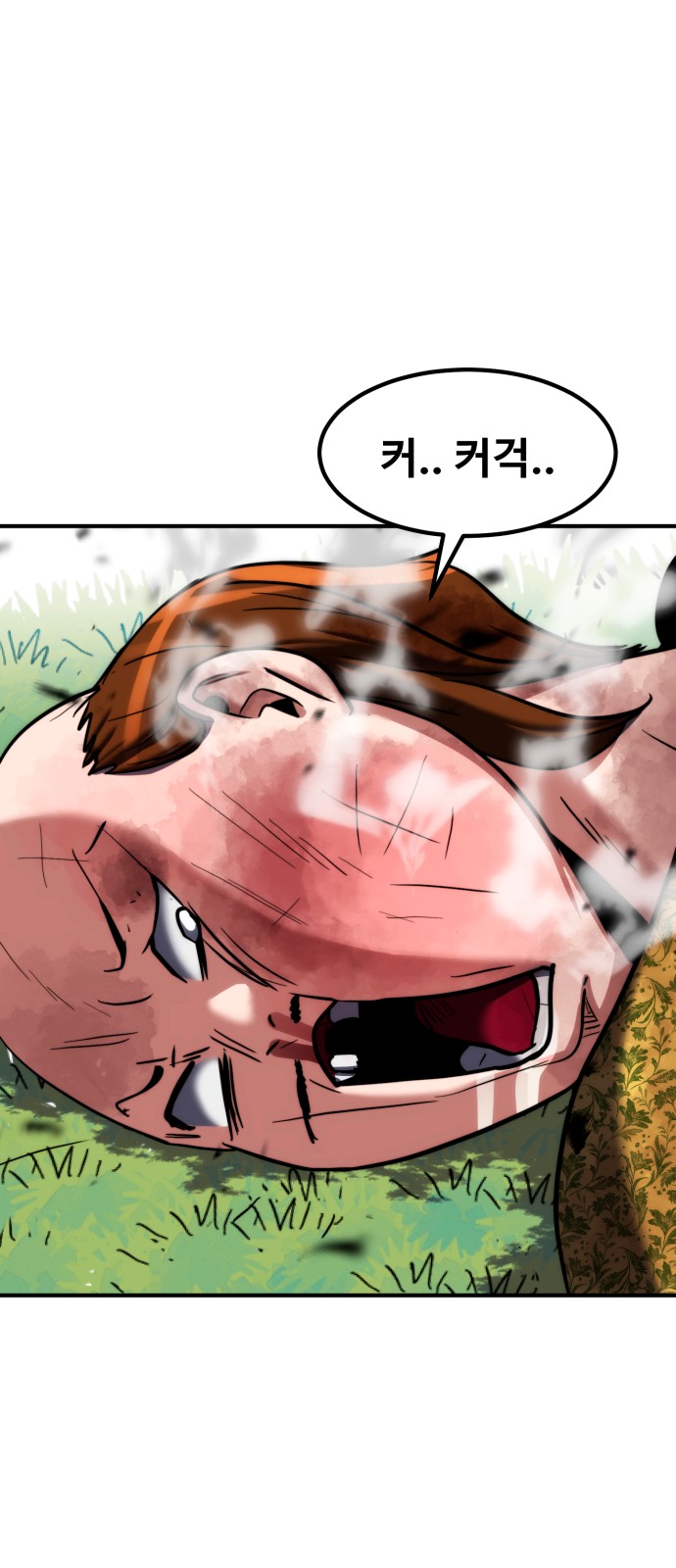 67 페이지