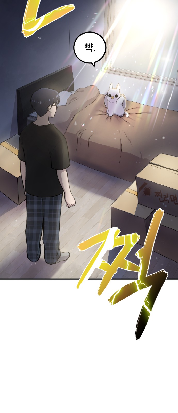 15 페이지