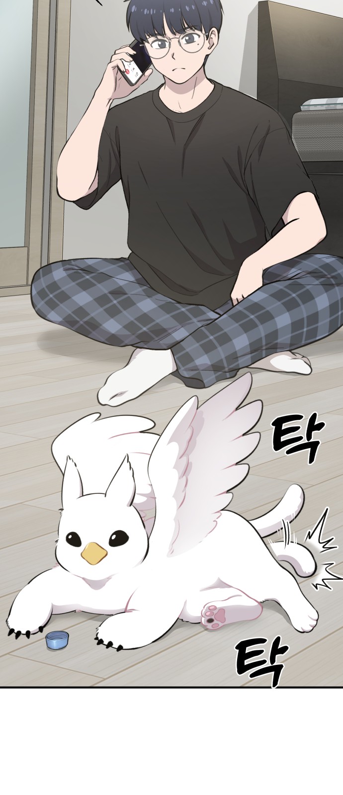 62 페이지