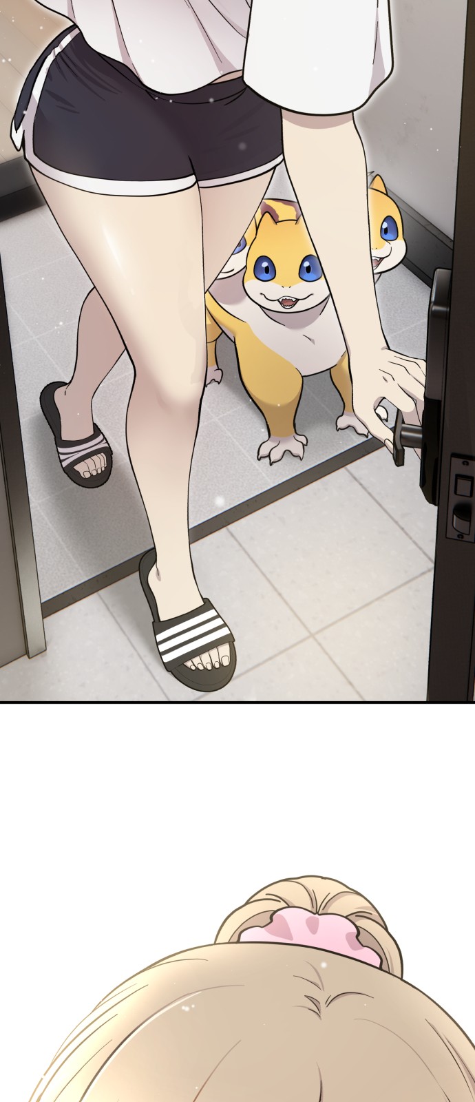 63 페이지