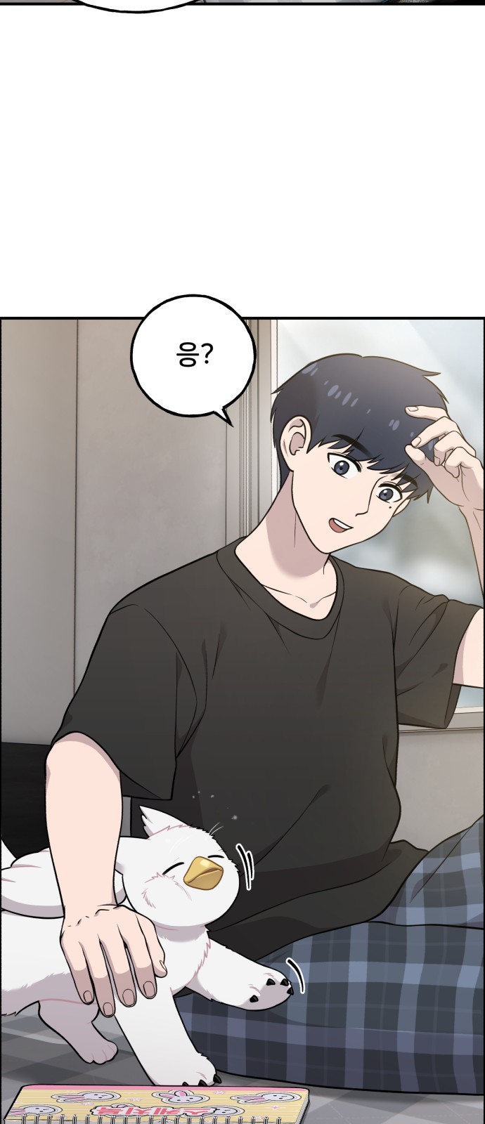 50 페이지