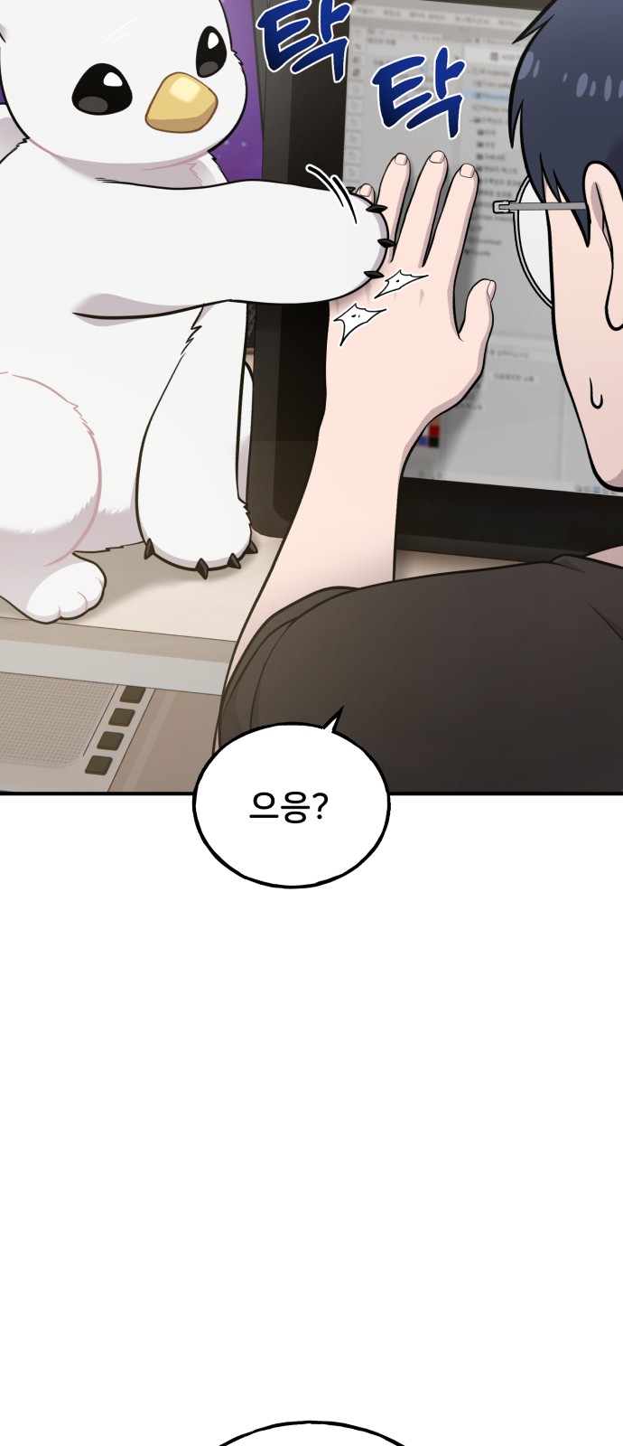 11 페이지