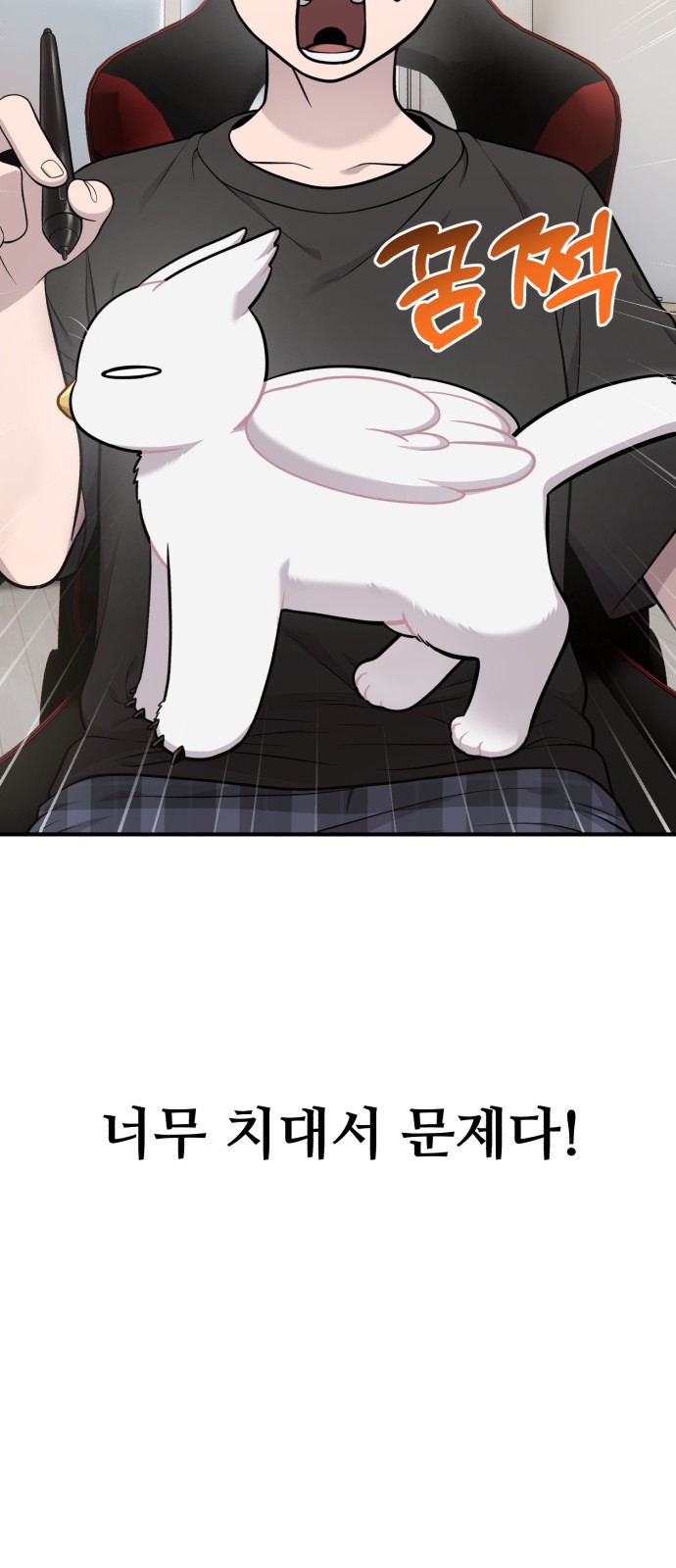 19 페이지