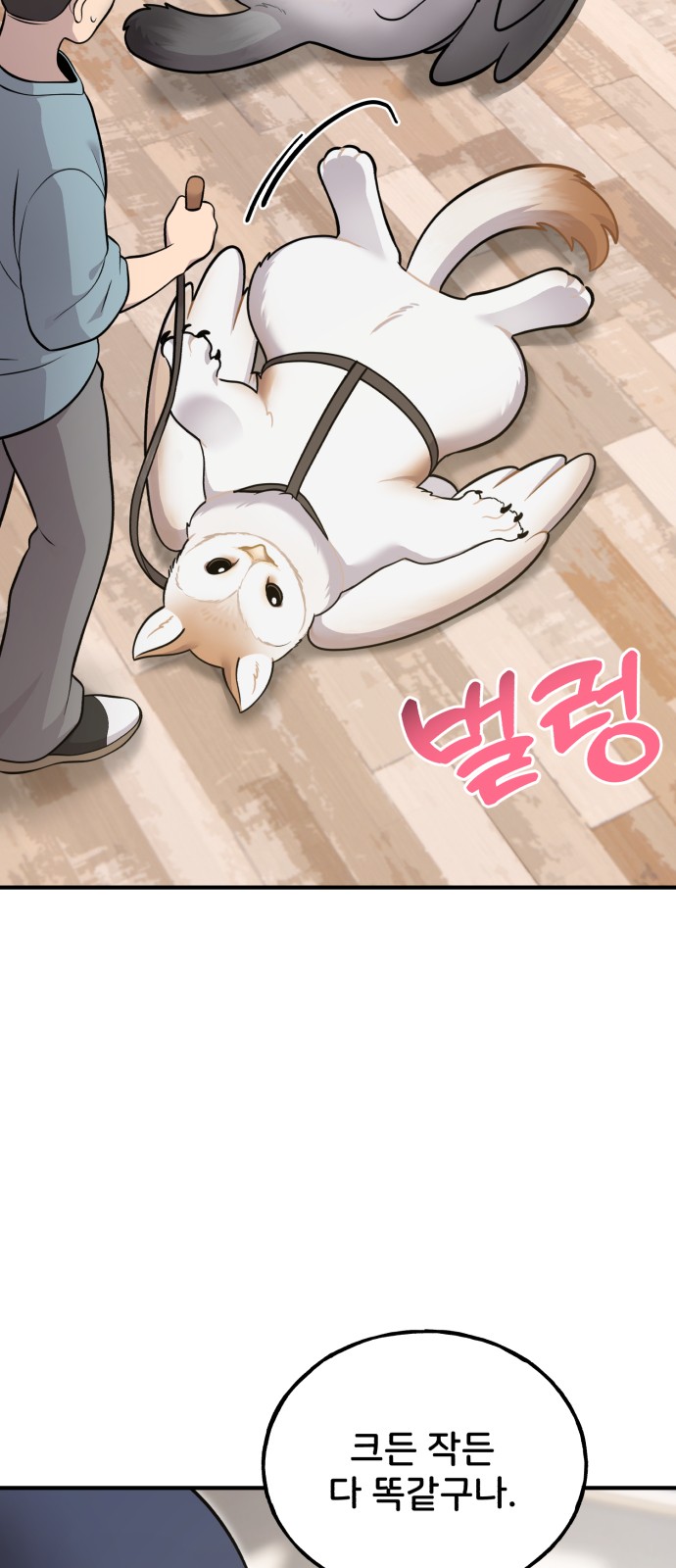 52 페이지