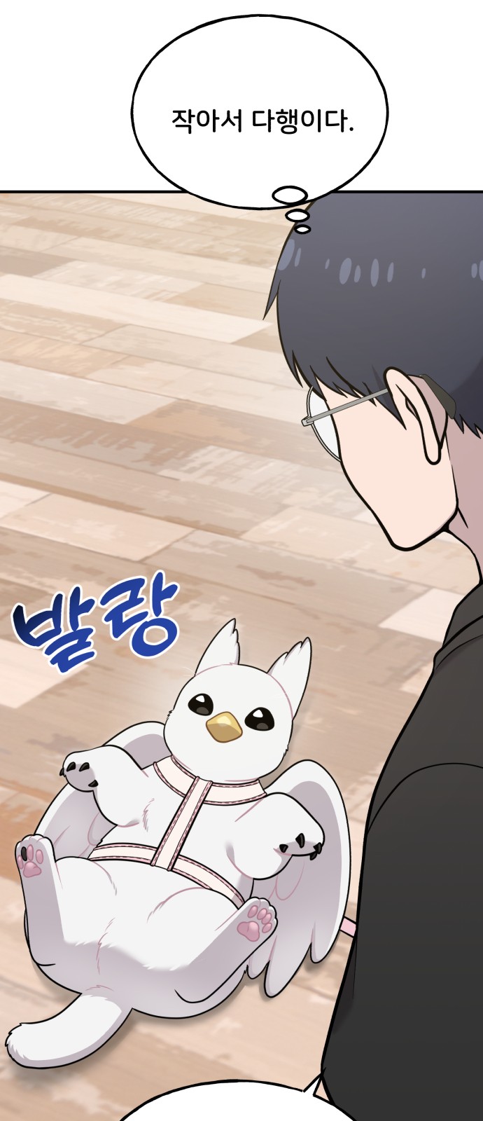 54 페이지