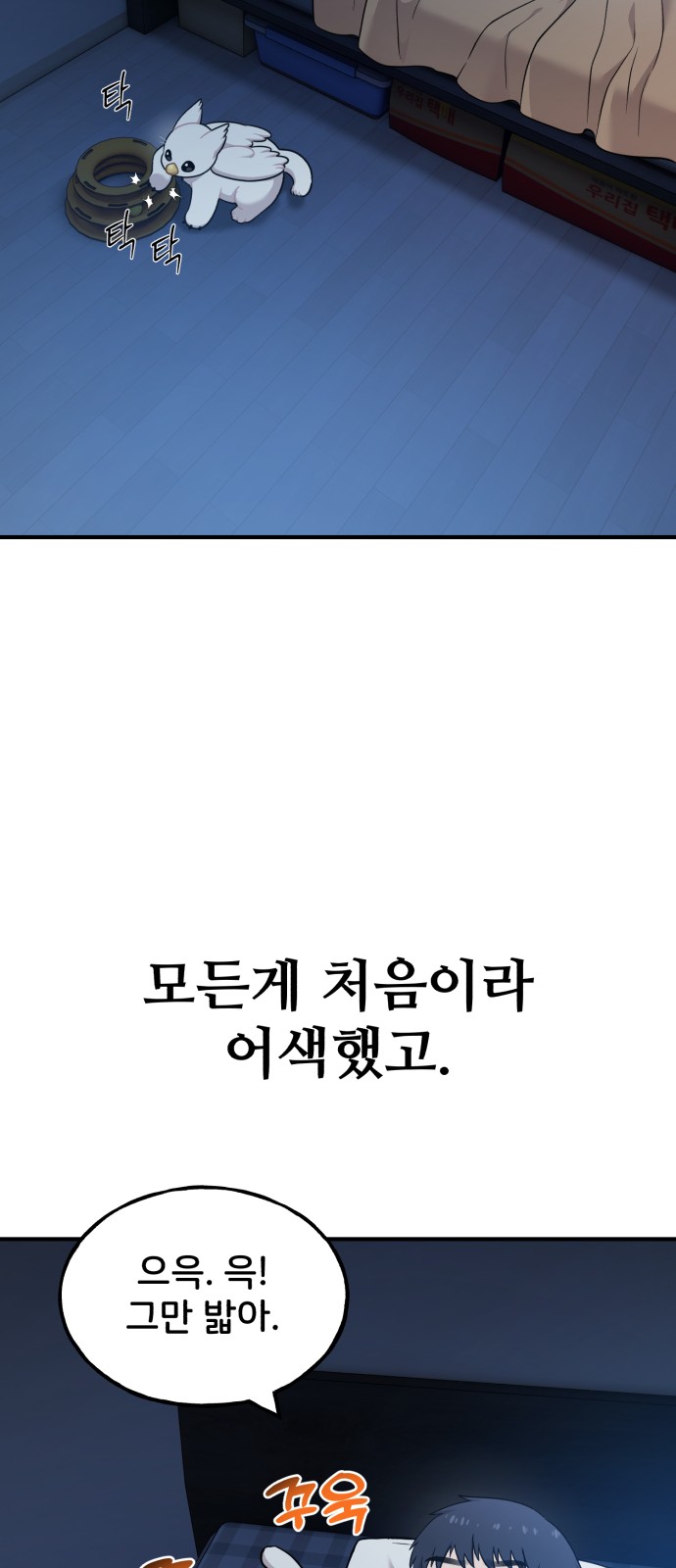52 페이지