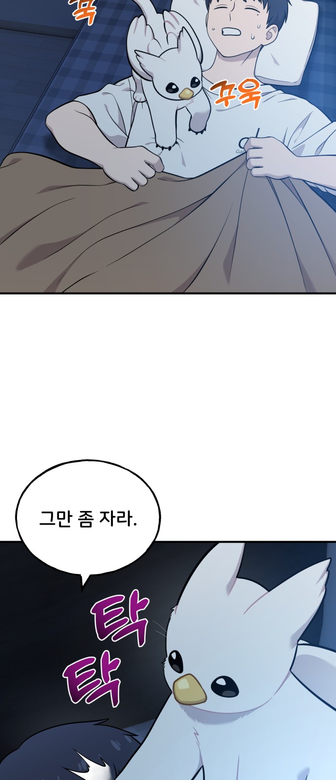 53 페이지