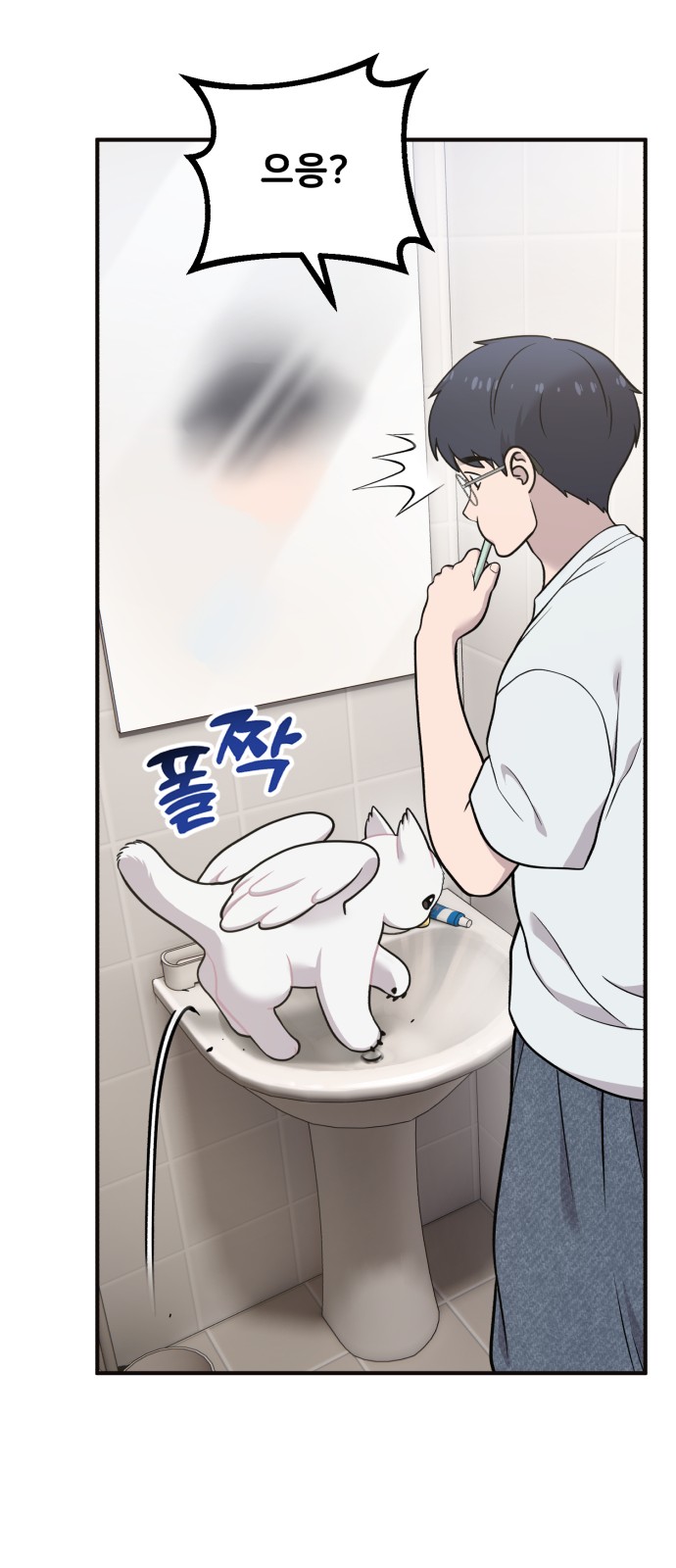 11 페이지