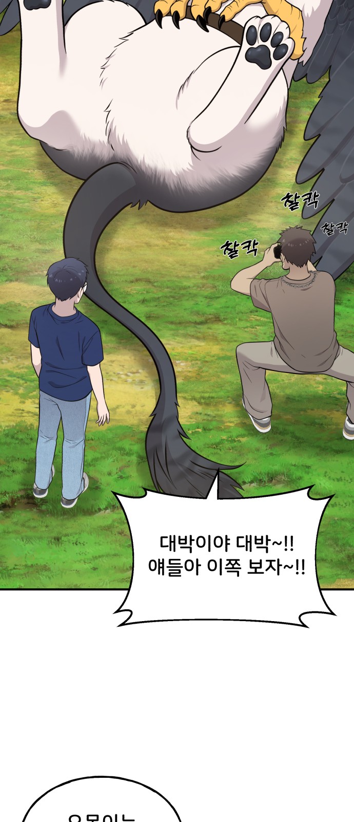 56 페이지