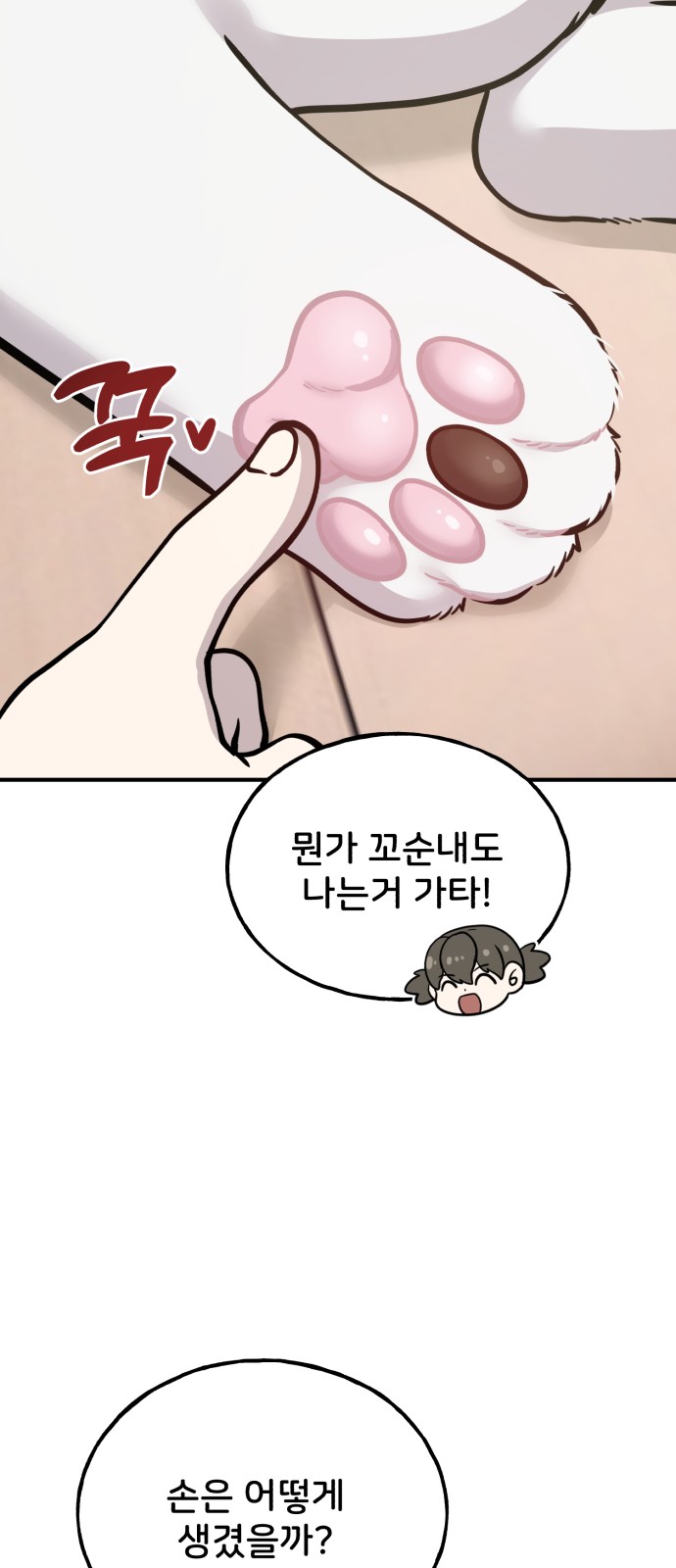 74 페이지