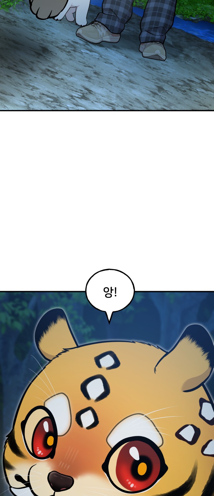 67 페이지