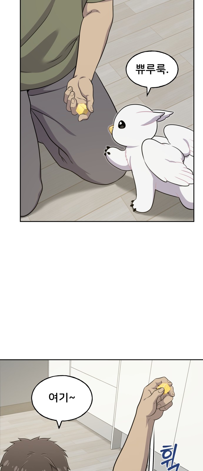 41 페이지