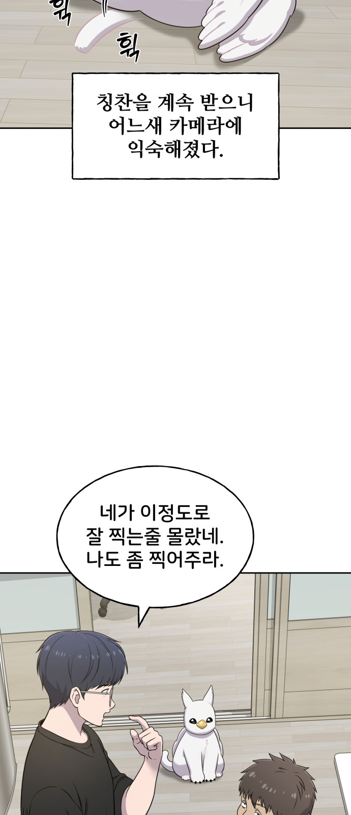 47 페이지