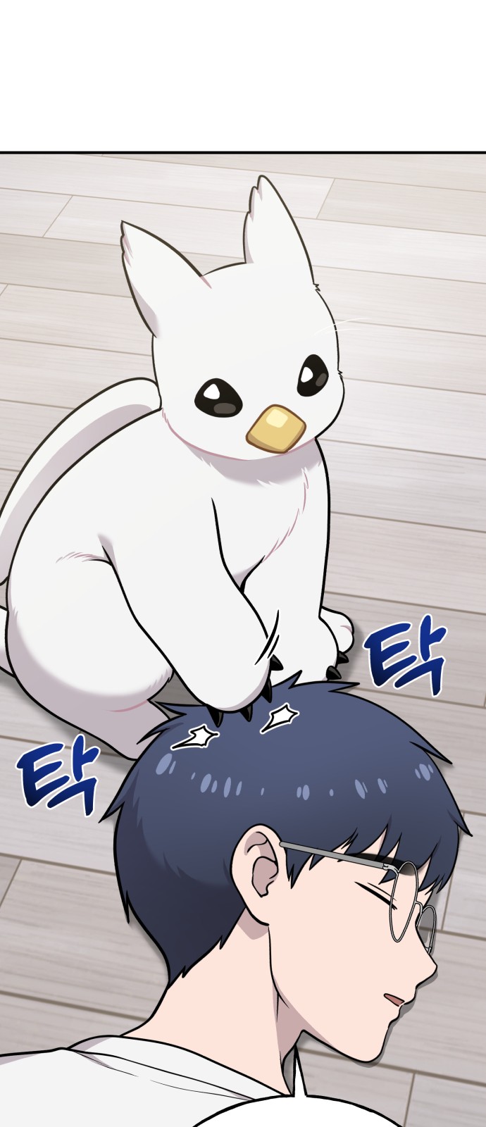 15 페이지