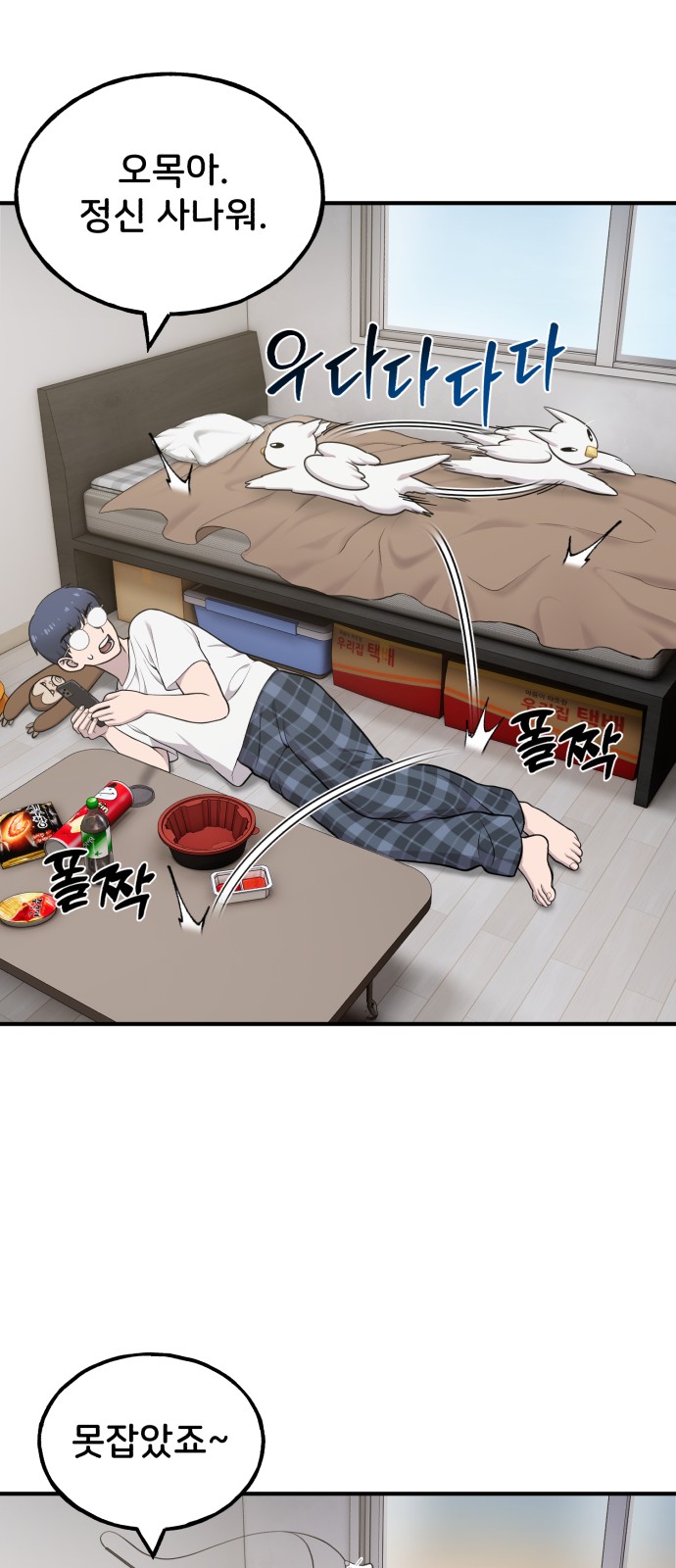 26 페이지