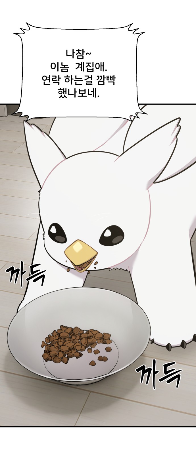 17 페이지